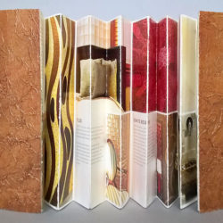 Accordion, (outside) 2012, 7.75 x 30 x 5.5", mixed media/artists' book