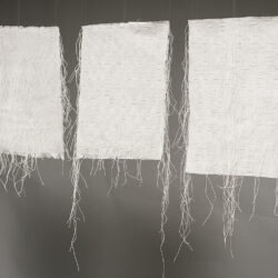 Missing, (detail), 2019, 27 x 72, fabric, linen thread