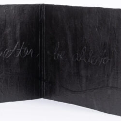 Thin Ice, collaboration with Luciana Abait, (interior detail), 2022, 10 x 58 x 13.5", mixed media artists' book