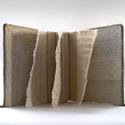 The Body Politic: White and...(II), 2024, 9 x 16 x 6", book board, paint, canvas, hemp / assorted cord